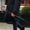 Huntsman 1 - Thumbnail Image 8