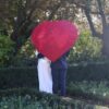 Heart Walker - Thumbnail Image 9
