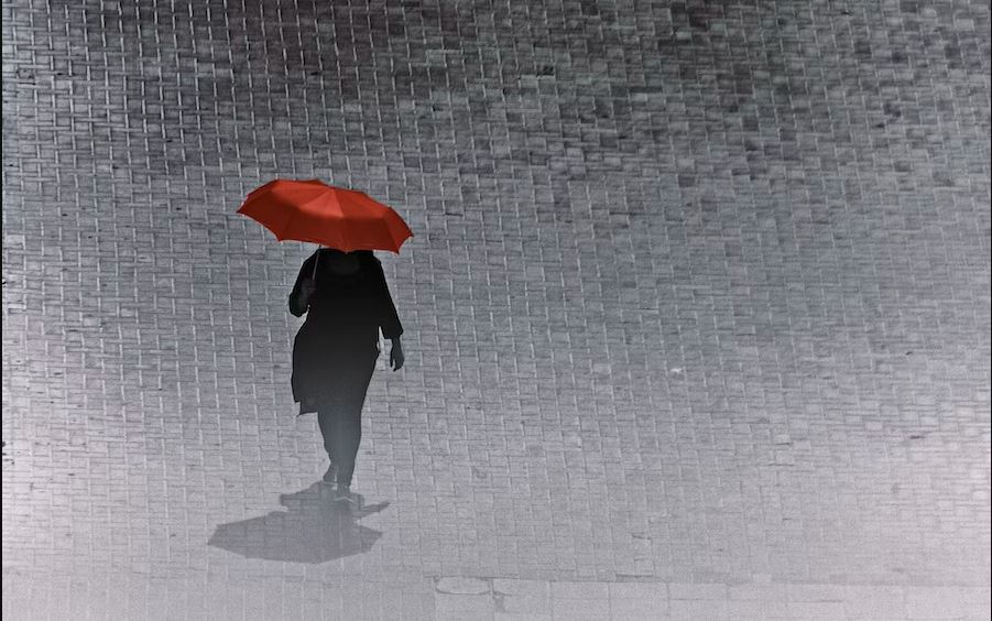 person holding red umbrella