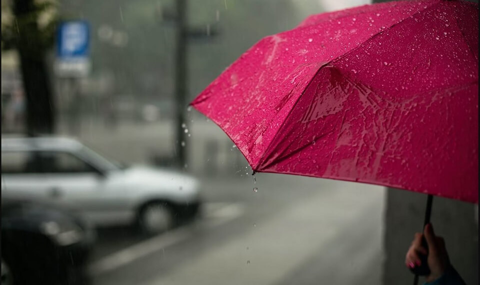 pink umbrella in the rain