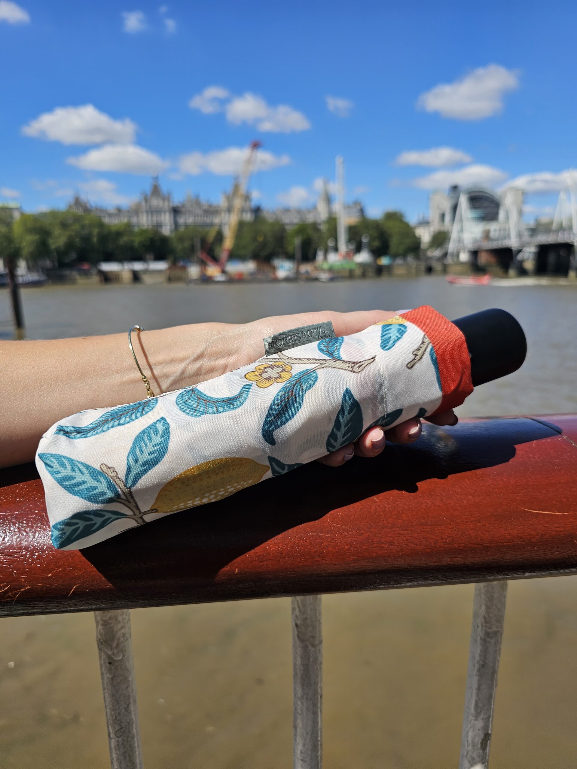 L907_Morris &Co Minilite UV Madder Fruit - 11