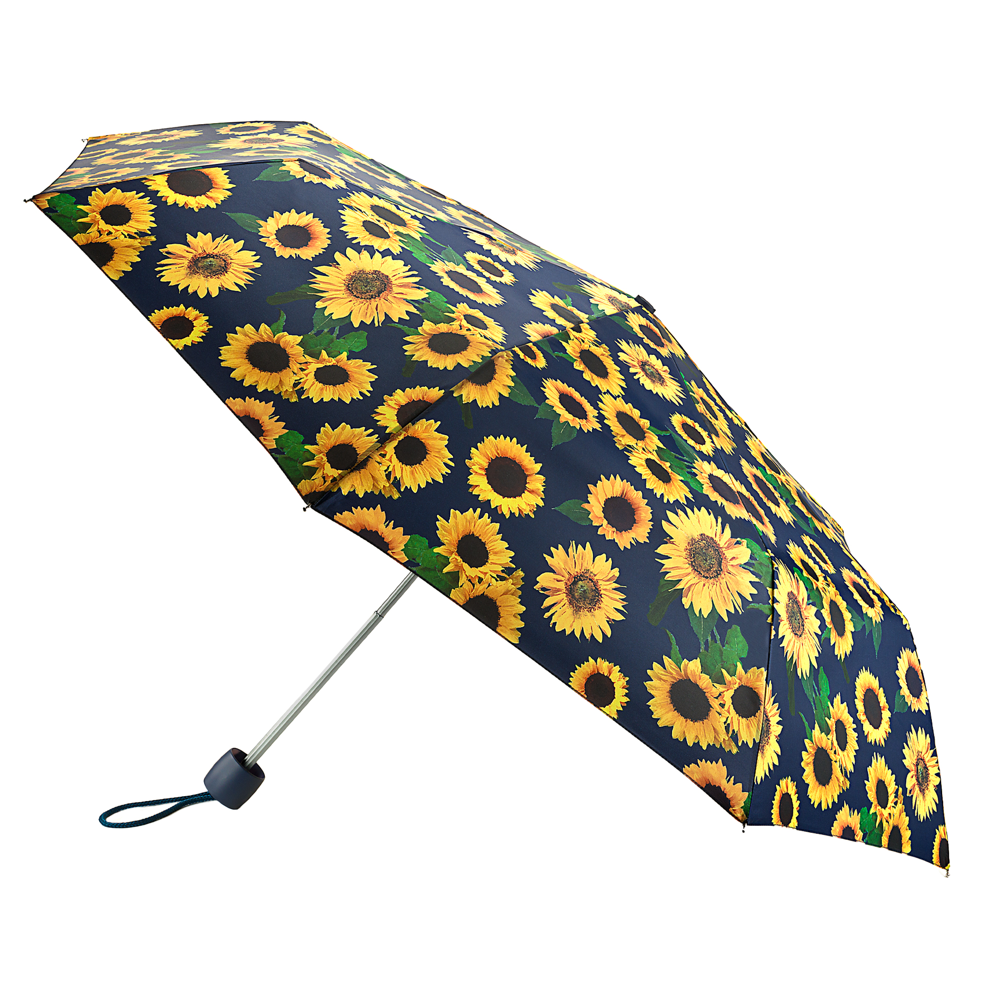 La National Gallery par Fulton Minilite - Fulton Umbrellas