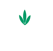 Fulton Umbrellas