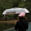 Lumio - Thumbnail Image 6